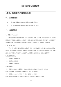 质粒DNA的提取及检测实验报告