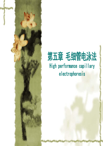 第五章毛细管电泳