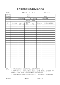 工程项目成本分析表模板