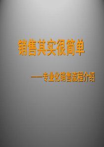销售其实很简单_专业化销售流程介绍（PPT51页)