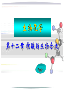 生物化学第12章核酸的生物合成1xg