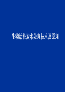 生物活性炭法PACT工艺技术与原理