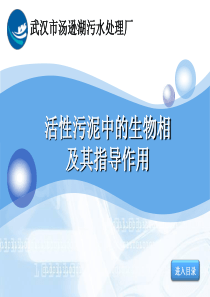生物图谱