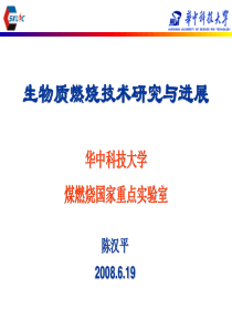 生物质燃烧技术