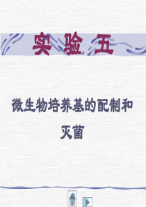 实验五微生物培养基的配制和灭菌