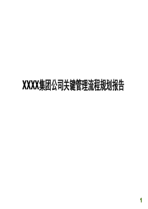 集团公司关键管理流程规划报告