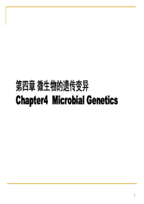微生物的遗传变异