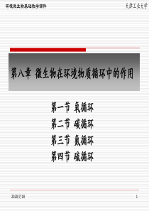 微生物第八章微生物在环境物质循环中的作用