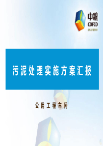 污泥处理方案汇报