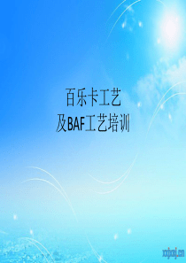污水处理厂百乐卡工艺培训文件