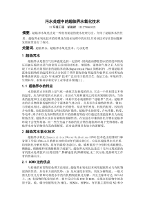 污水处理中的超临界处理技术
