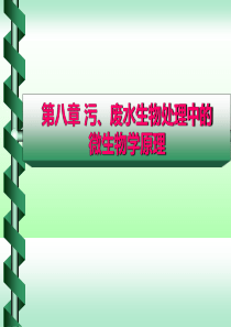 污水处理中的微生物