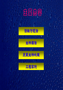 污水生物处理活性污泥上