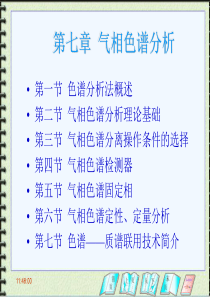 仪器分析教案第七章色谱法