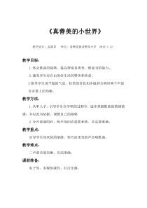 《真善美的小世界》教案孟丽君设计