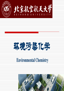 有机污染环境化学化学物质的生物效应