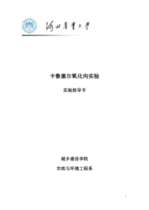 卡鲁塞尔氧化沟