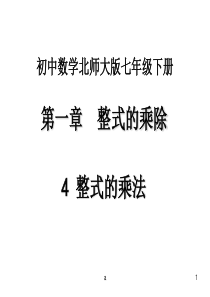 《整式的乘法》课件