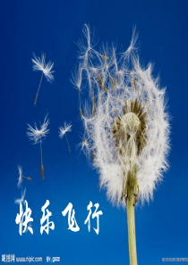 家庭中亲子阅读方法课件