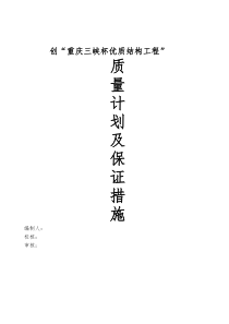 三峡杯优质结构工程计划及措施.doc