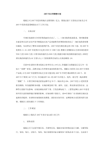 2007年公司销售计划