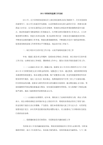 2011年财政局监察工作总结