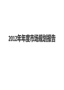 公司年度市场规划