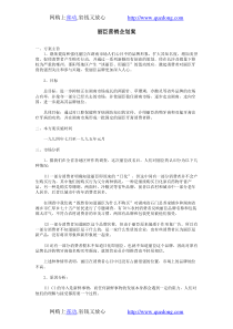 丽臣营销企划案