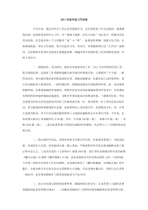 2011年县外宣工作总结