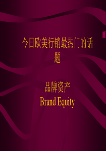 28 品牌资产培训