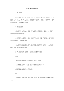 2013上学年工作计划