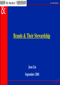 313奥美品牌与维护