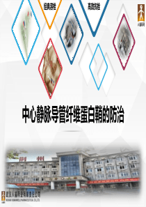中心静脉导管纤维蛋白鞘的防治2019版