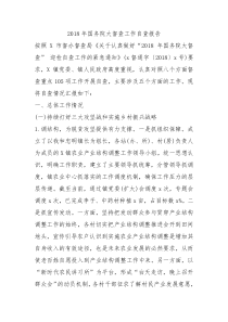 2018年国务院大督查工作自查报告