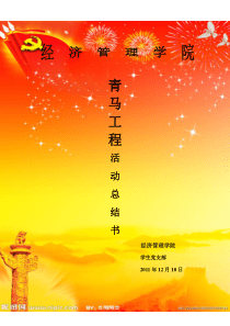 青马工程活动总结