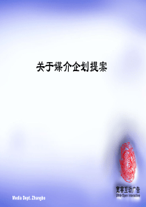 关于媒介企划提案(3)