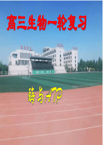 高三一轮酶与ATP