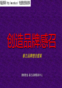 424春兰品牌理念提案