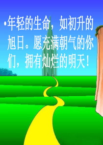 1[1]1分子动理论讲解