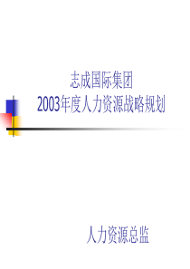 年度人力资源战略规划