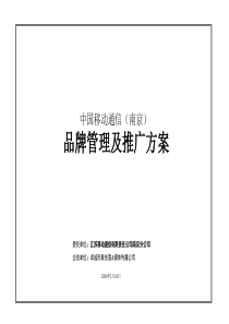 9b移动通信（南京）品牌管理及推广方案