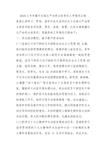 2019上半年履行全面从严治党主体责任工作情况汇报