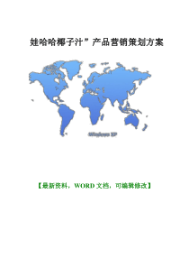 娃哈哈椰子汁”产品营销策划方案