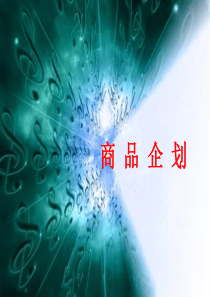 商品企划方案1（PPT160页)