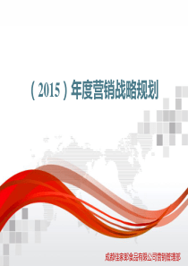 年度营销规划正本