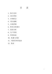 大学生创新创业商业计划书