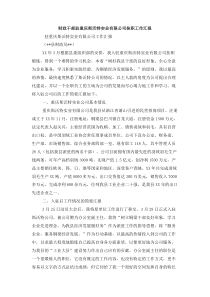 财政干部驻XX实业有限公司挂职工作汇报