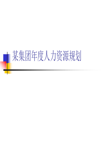 某集团年度人力资源规划(1)