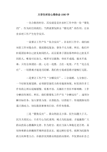 大学生村官心得体会1000字范文