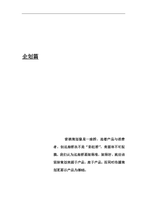 新华世纪园-企划篇（DOC 38页）